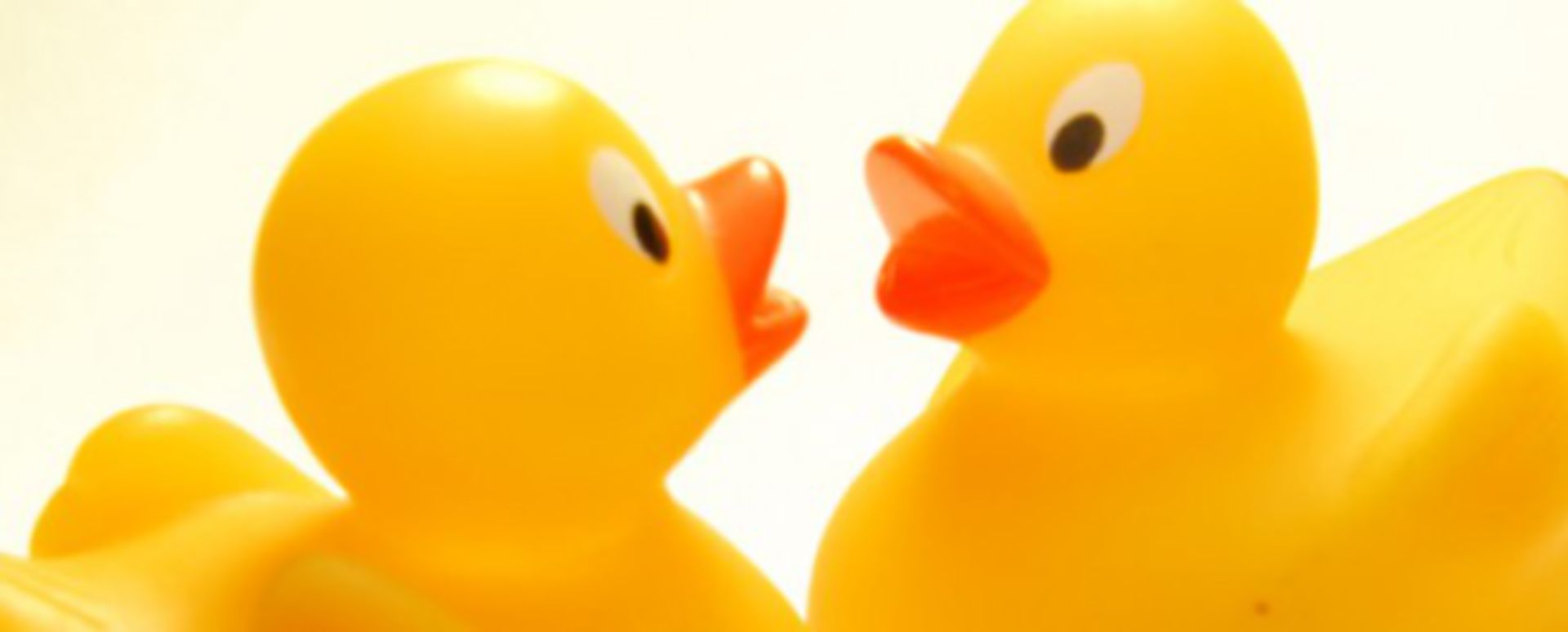 Sprache ist das A und O DocCheck