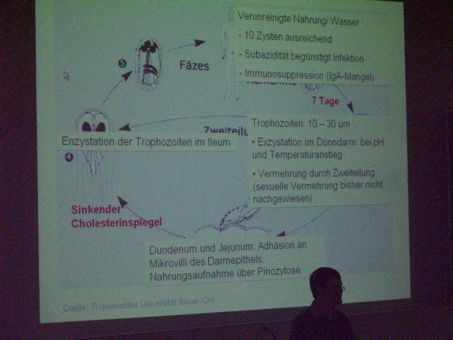 Corso di medicina tropicale a Lipsia