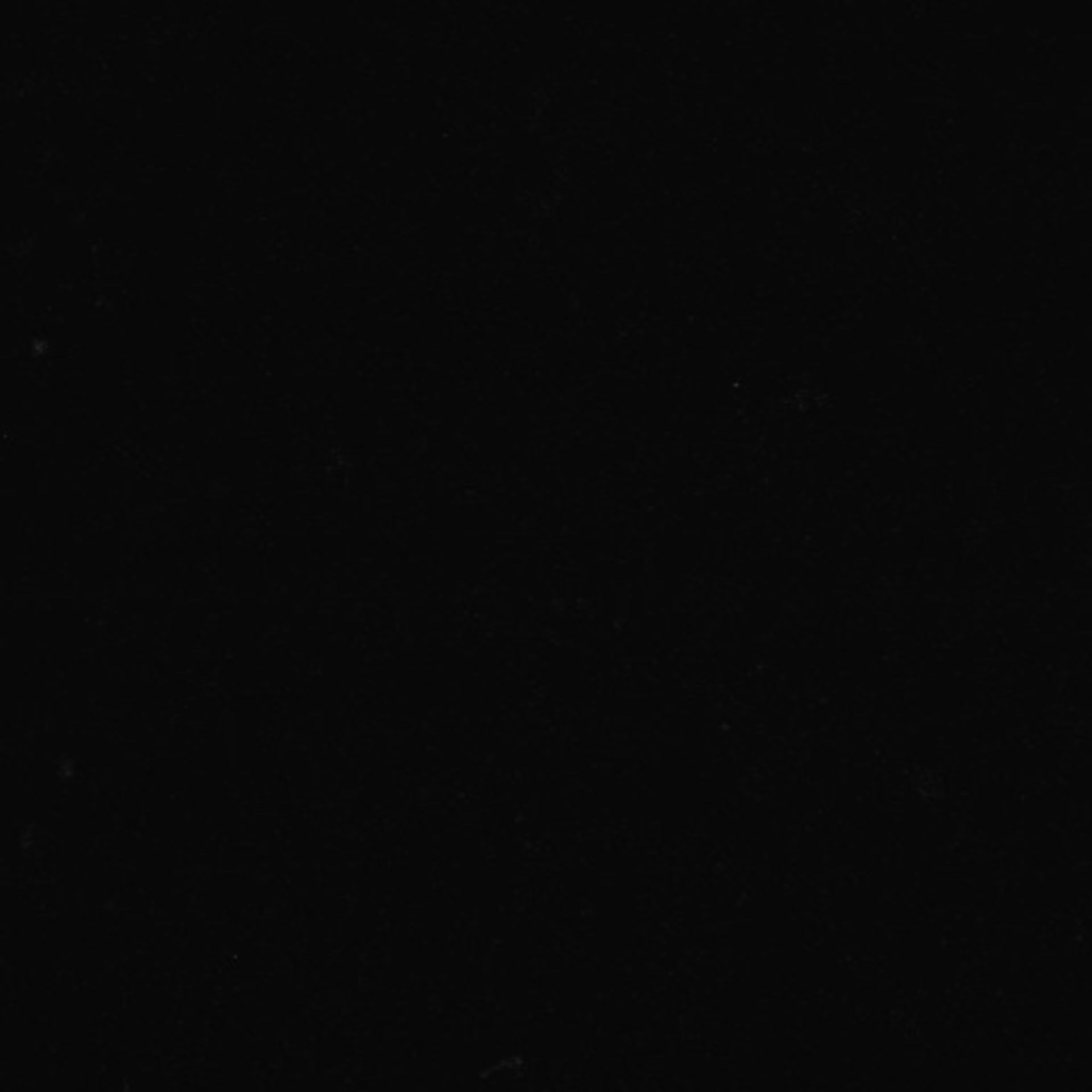 Xenopus laevis (Neuronal cell body) - CIL:37090