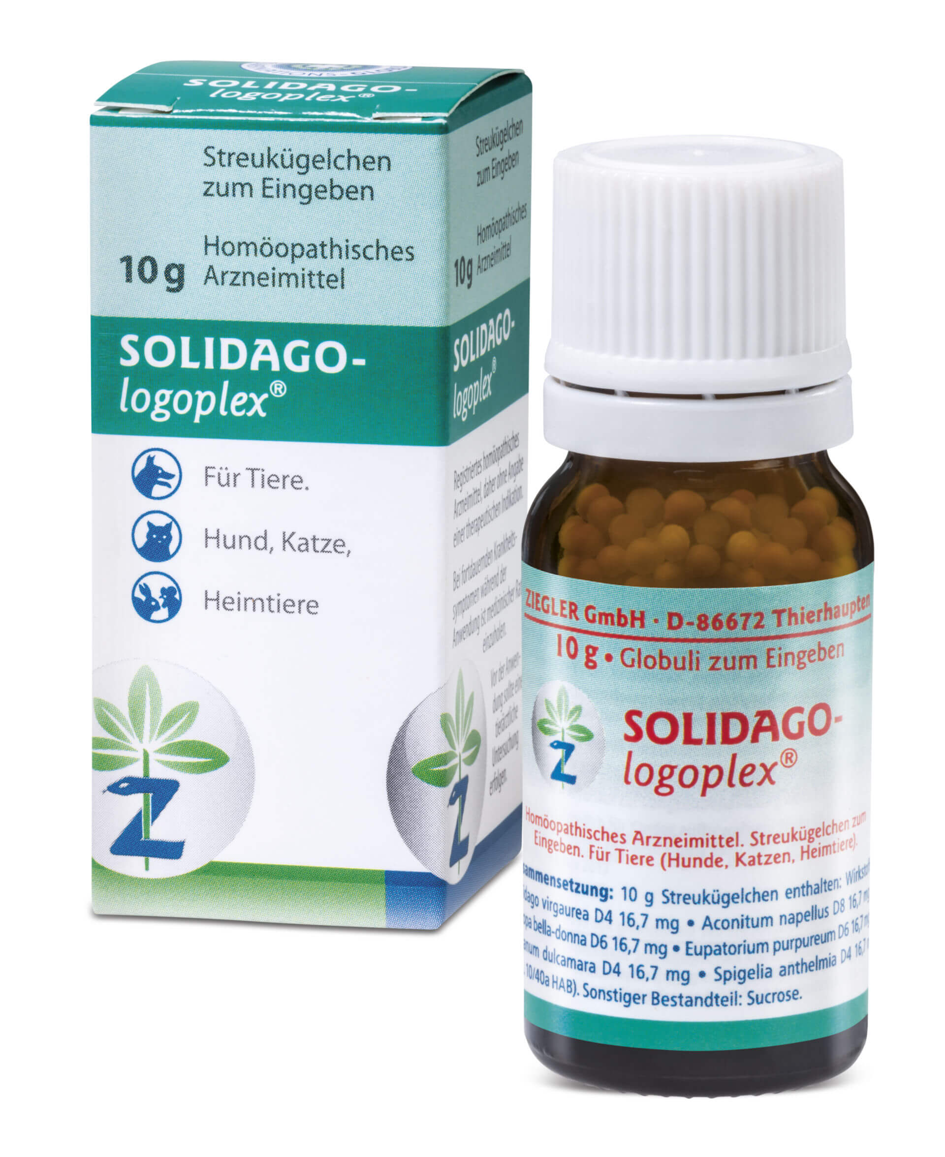 Solidago logoplex