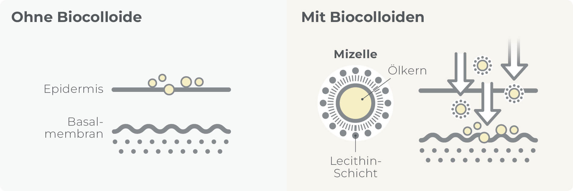 illu_belixos_biocolloide_original.jpg