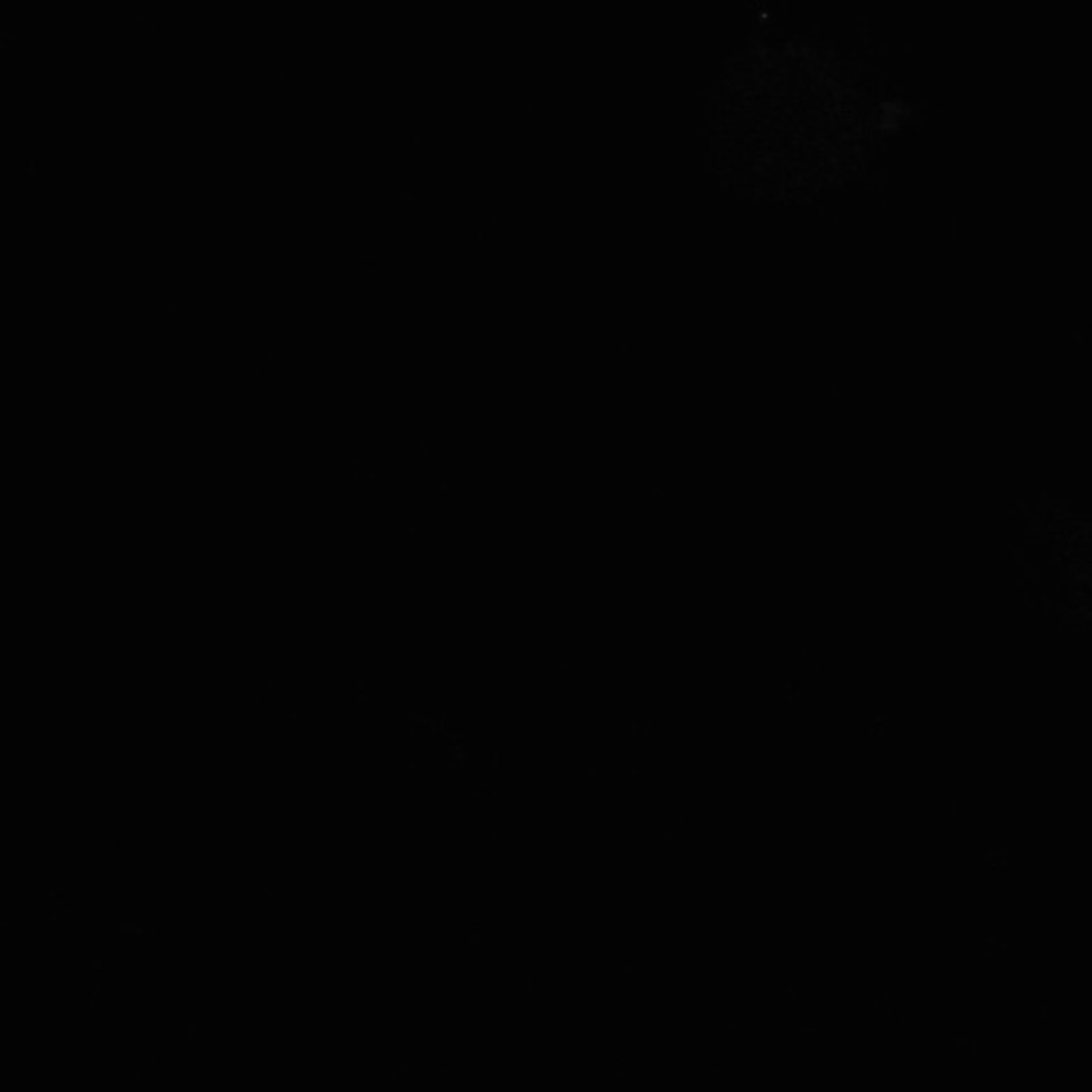 Xenopus laevis (Axon) - CIL:36844