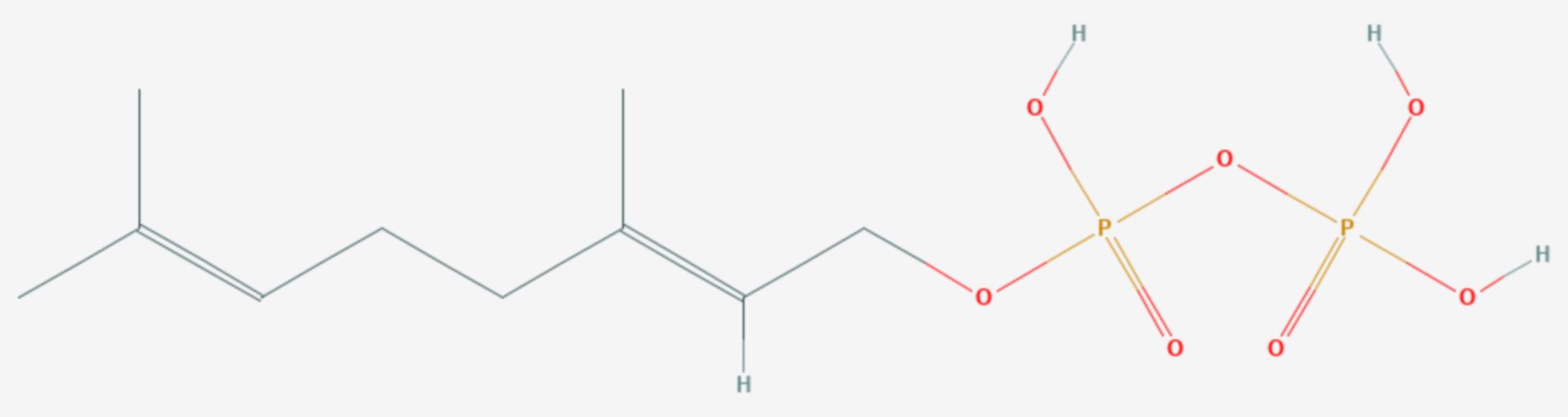 Geranylpyrophosphat (Strukturformel)