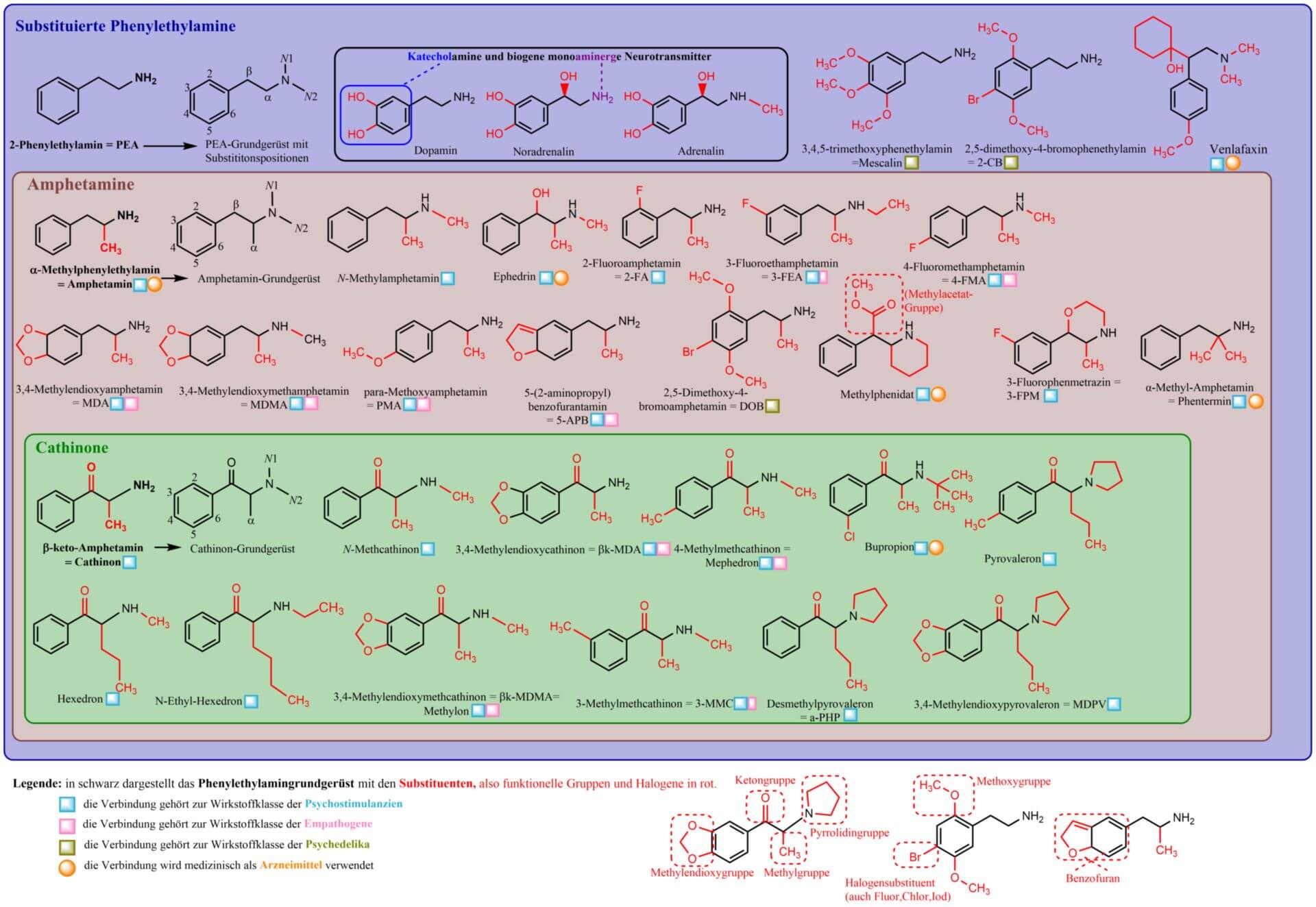 Die Phenylethylamine im Überblick - chemische Struktur und Anwendung