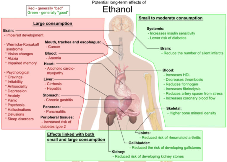 Potential long-term effects of Ethanol - DocCheck