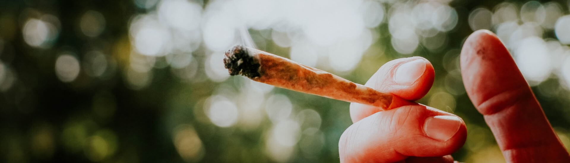 Zigarette vs. Joint: Was qult die Lunge mehr? - DocCheck Zigarette vs. Joint: Was qult die Lunge mehr? - DocCheck