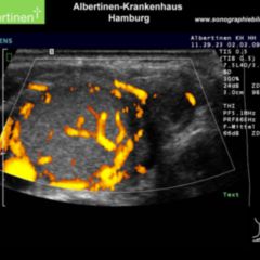 Autonomie - DocCheck Flexikon