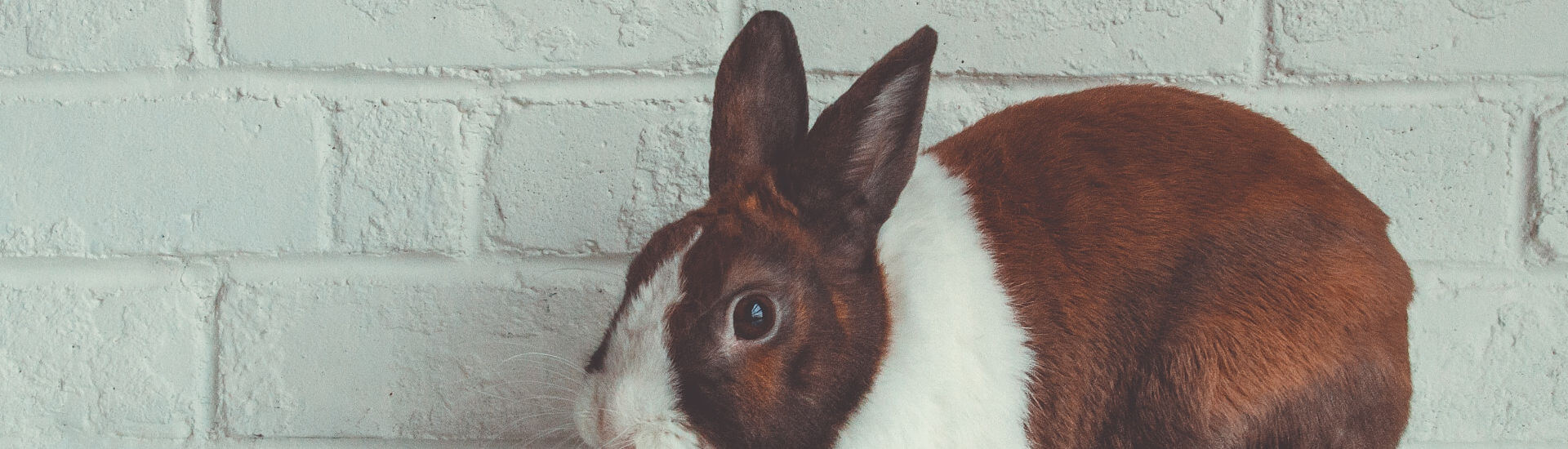 Panisch oder cool Was steckt hinter Resilienz? DocCheck