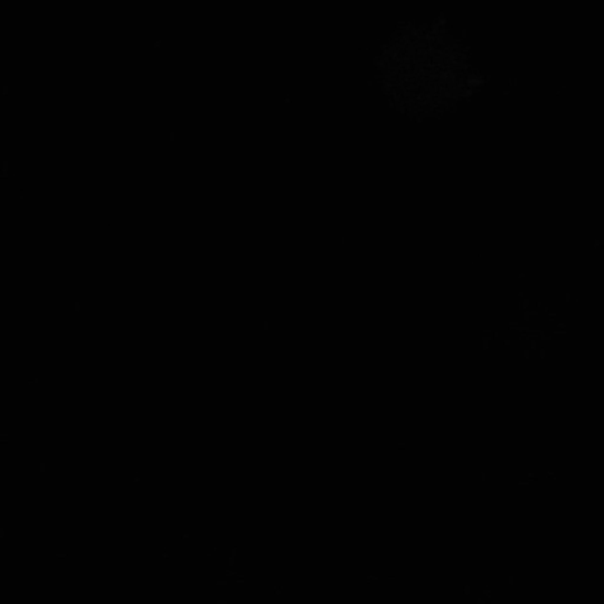 Xenopus laevis (Axon) - CIL:36851