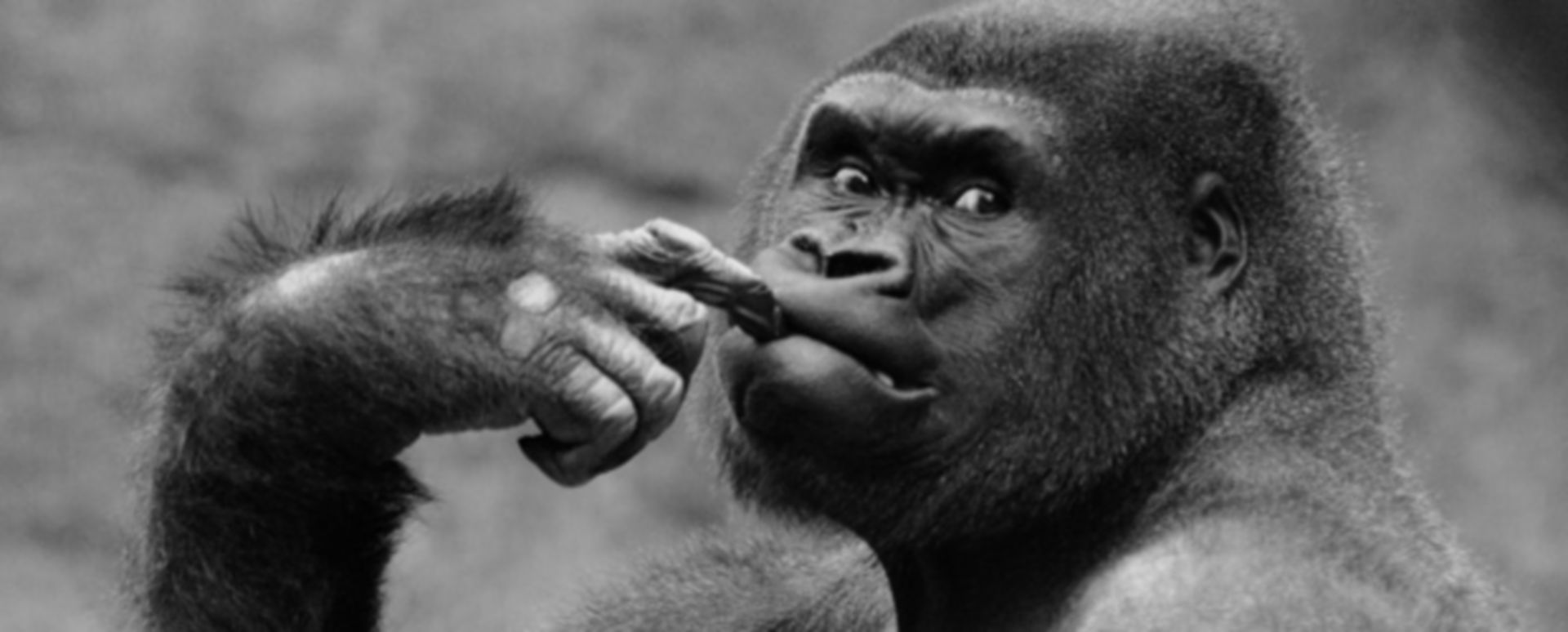 Tonsillotomie Eindeutig uneindeutig DocCheck