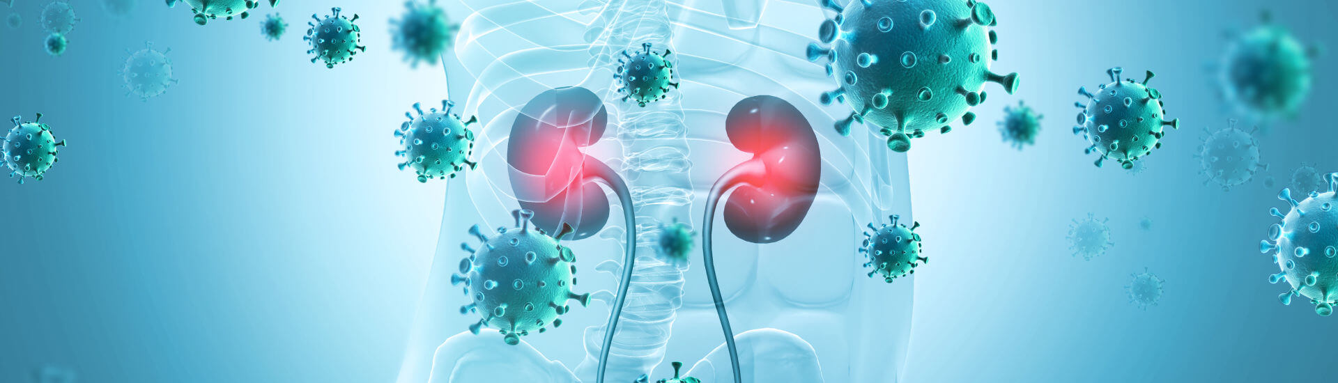 Vorsicht ist geboten Das unterschätzte Risiko von BKViren nach der