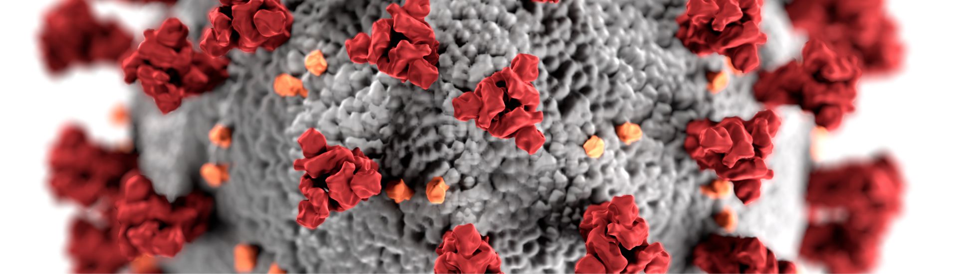 SARSCoV2 Steckbrief in 3D DocCheck