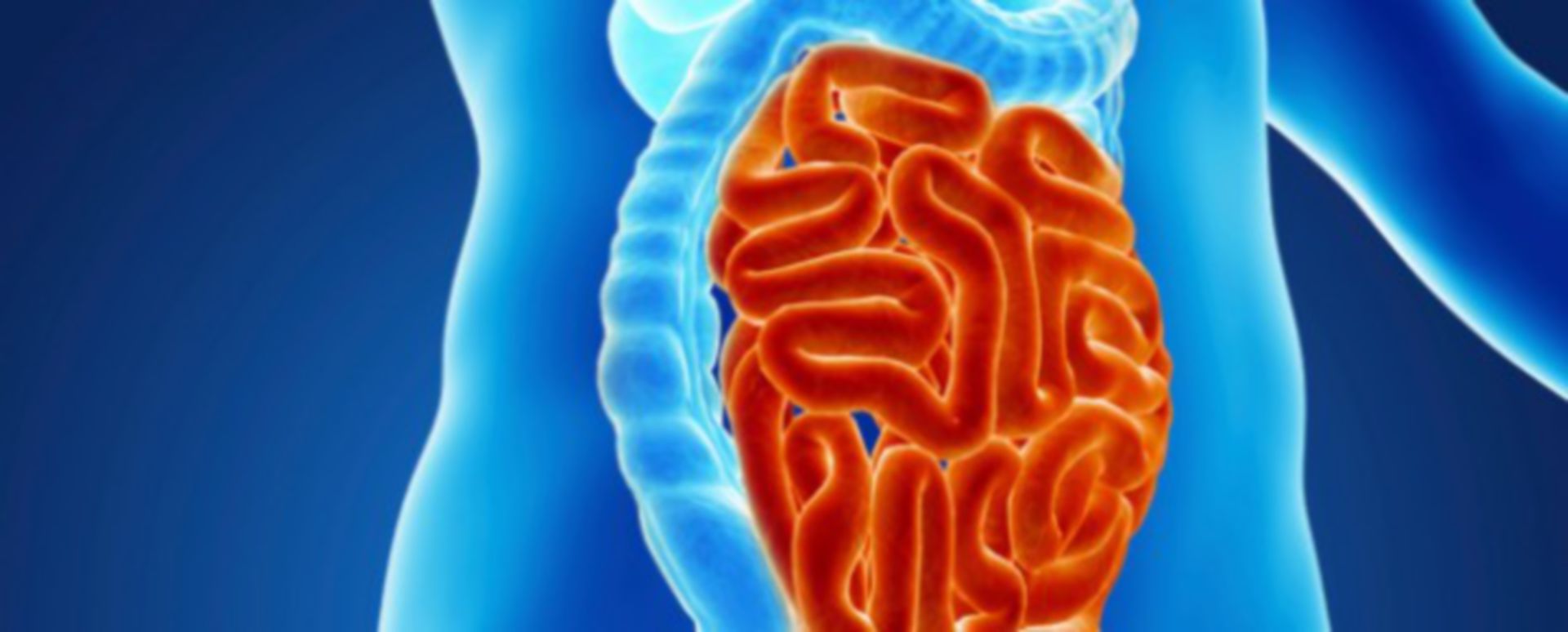 Ancient wheat A fix for Irritable Bowel Syndrome? DocCheck