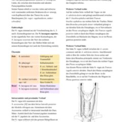 Nervus laryngeus recurrens DocCheck Flexikon