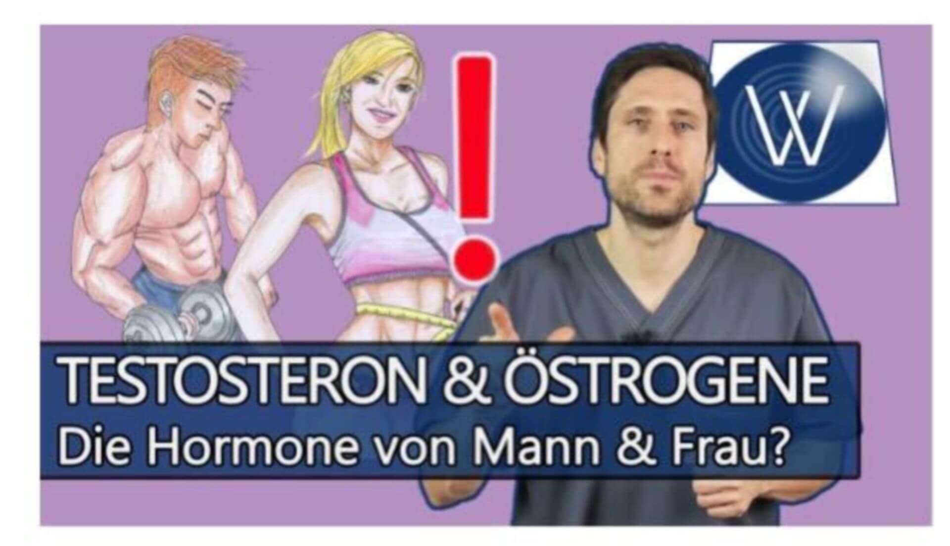 Testosteron vs. Östrogene: Achte auf diese Symptome! Folgen durch Mangel oder Überschuss