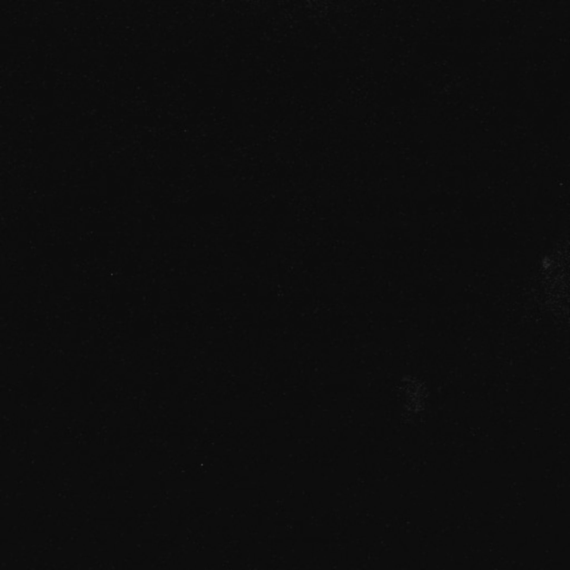 Xenopus laevis (Axon) - CIL:36953