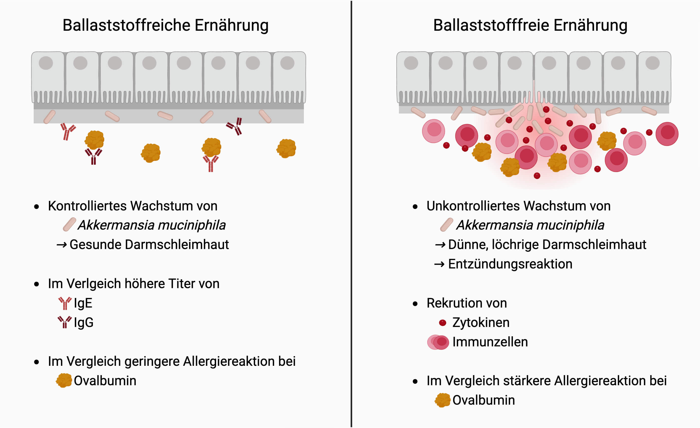allergien_v4_original.jpg