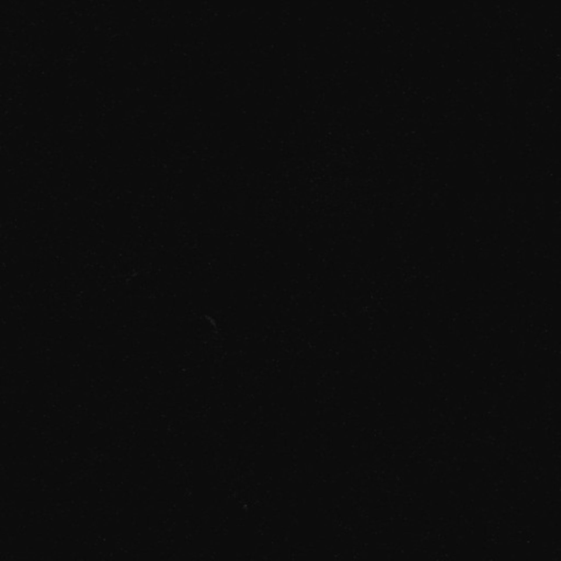 Xenopus laevis (Axon) - CIL:36945