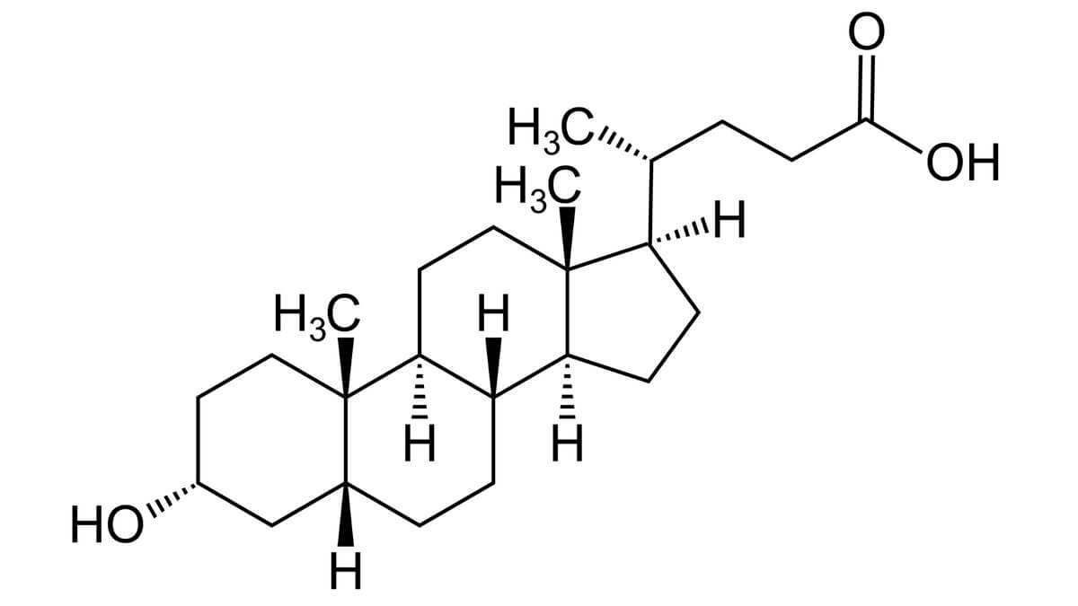 Lithocholsäure
