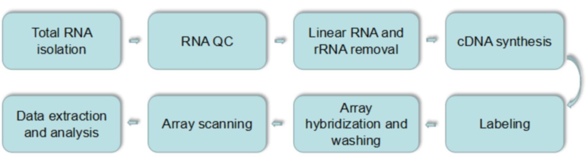 circRNA Microarray