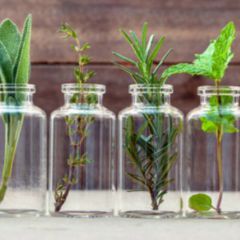 Baldrian Doccheck Flexikon