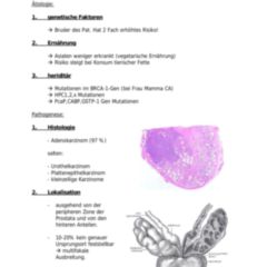 Kastrationsresistentes Prostatakarzinom Doccheck Flexikon