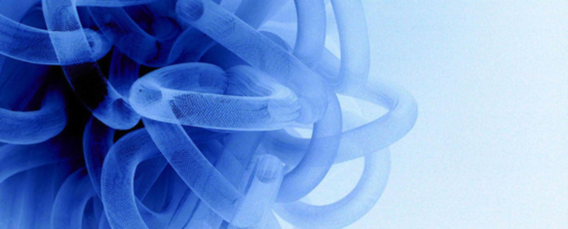 Stoffwechselprozesse der Astrozyten entwirrt DocCheck