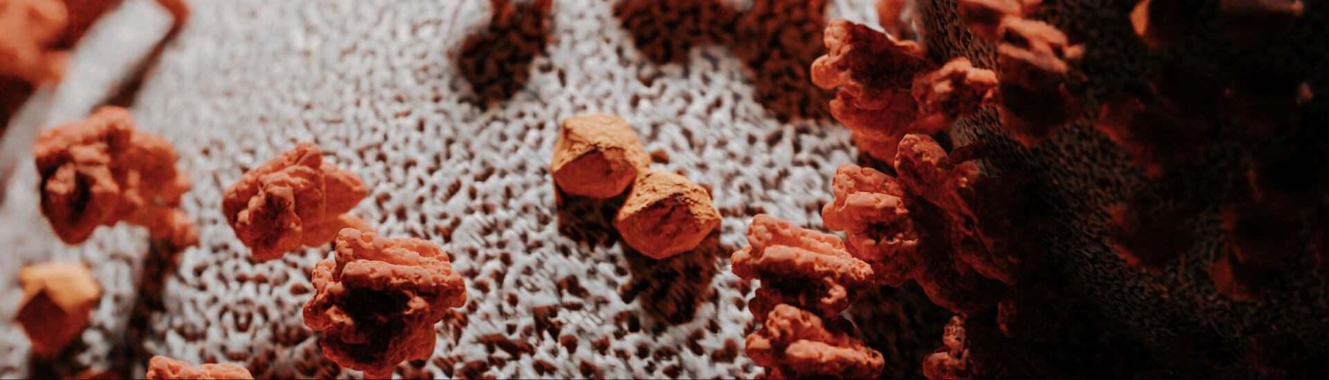 Herpesvirus Gekommen, um zu bleiben DocCheck