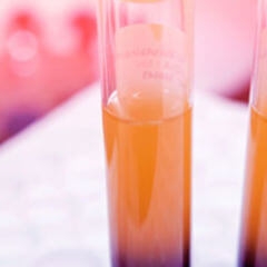 Rekonvaleszenz DocCheck Flexikon