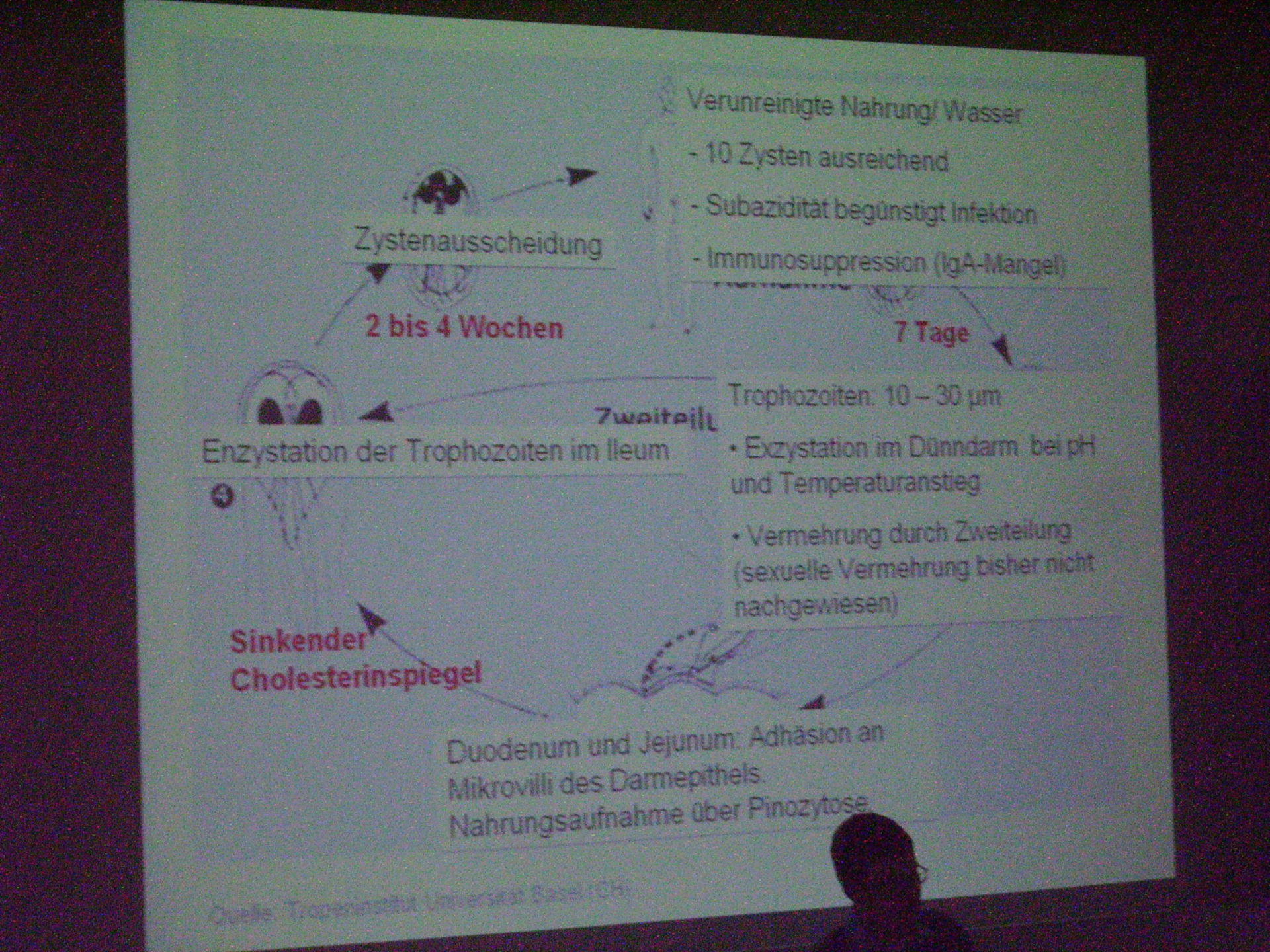 Corso di medicina tropicale a Lipsia