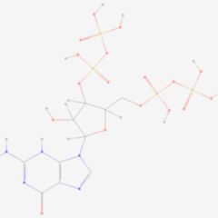 Guanosin DocCheck Flexikon