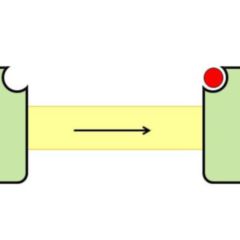 Ionenkanal Doccheck Flexikon