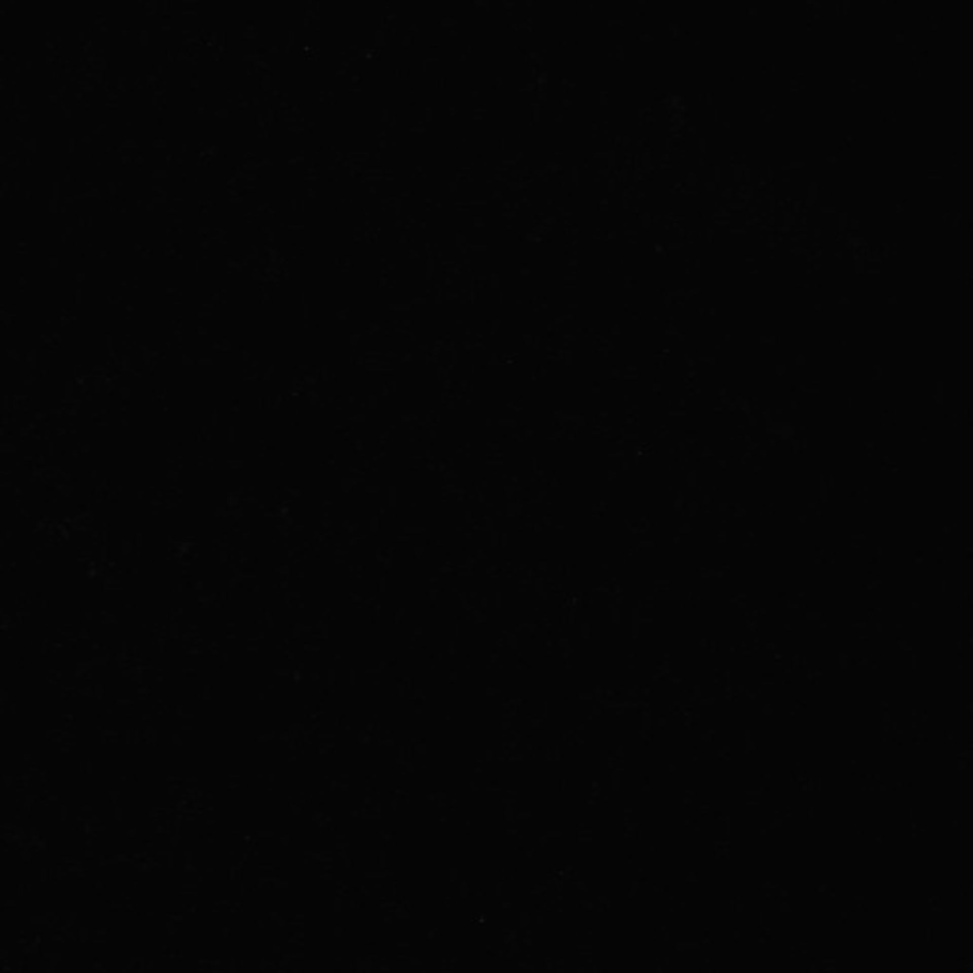 Xenopus laevis (Axon) - CIL:36999