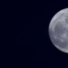 Paraparese DocCheck Flexikon