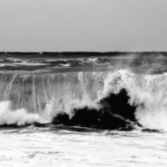 Rekonvaleszentenserum DocCheck Flexikon