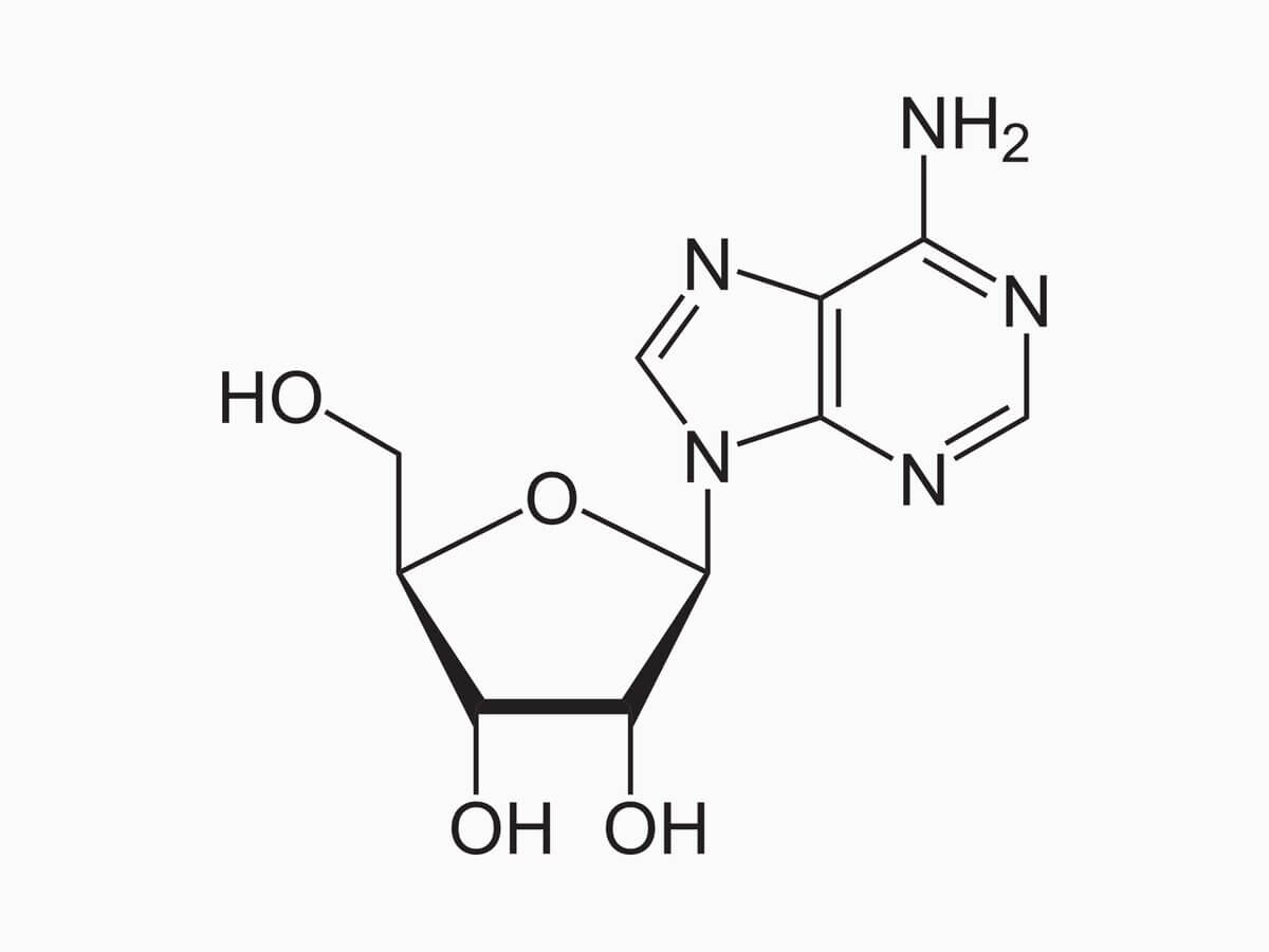 Adenosin