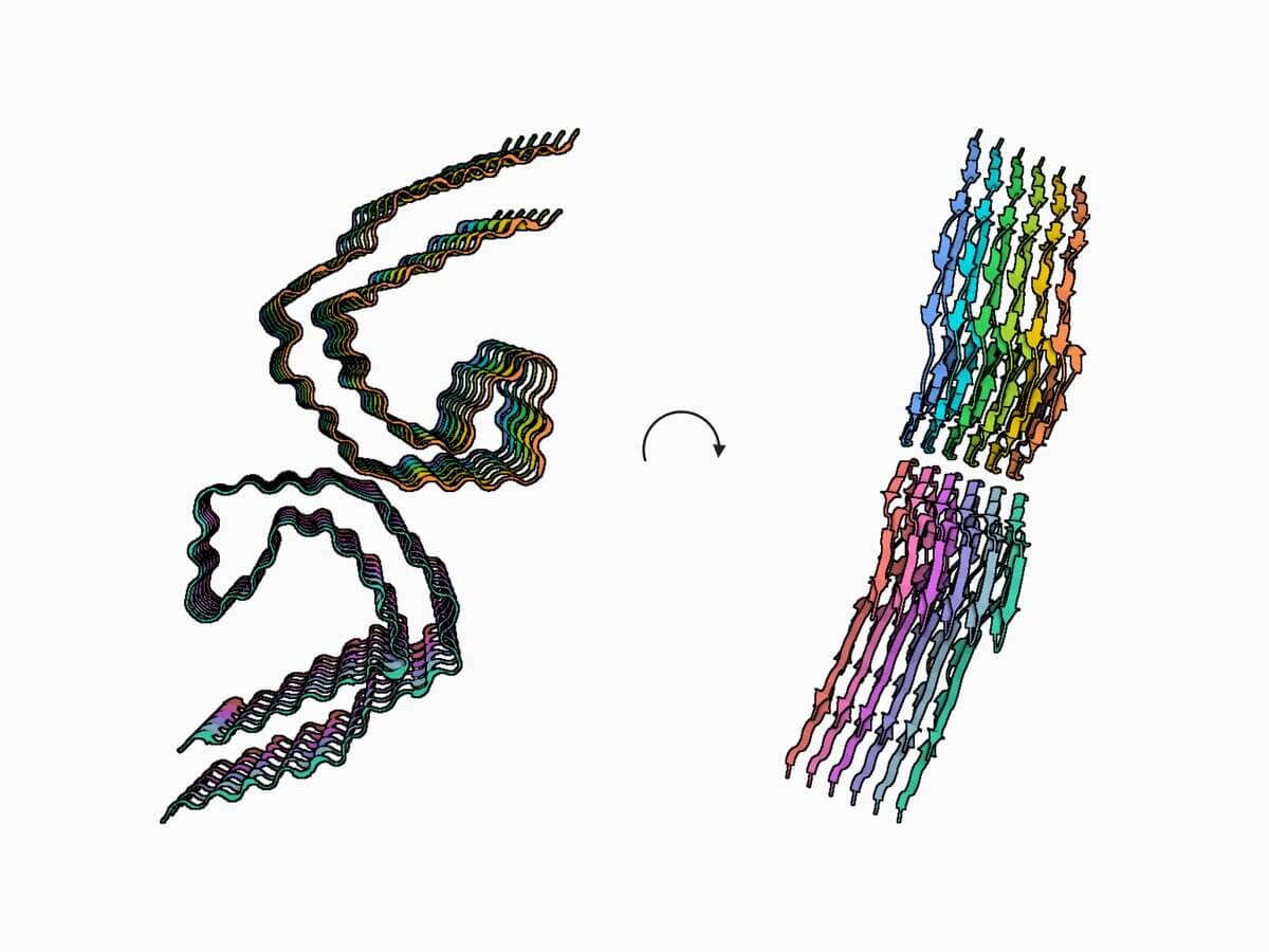 Kryo-EM Struktur von Tau-Fibrillen