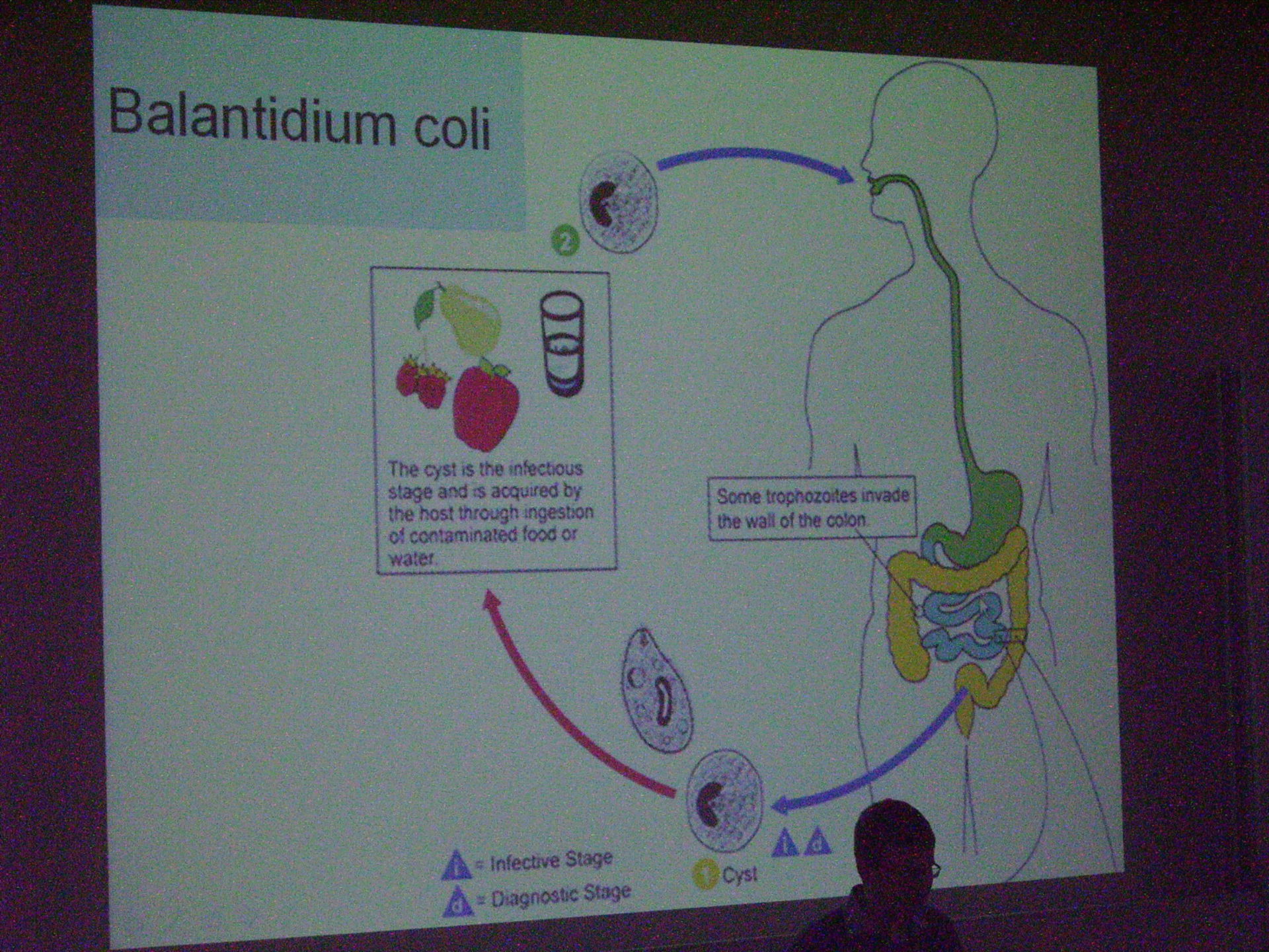 Corso di medicina tropicale a Lipsia