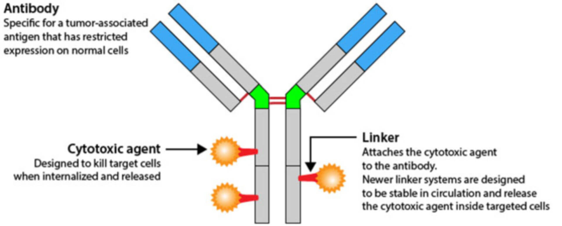 Adcs Linker - Doccheck