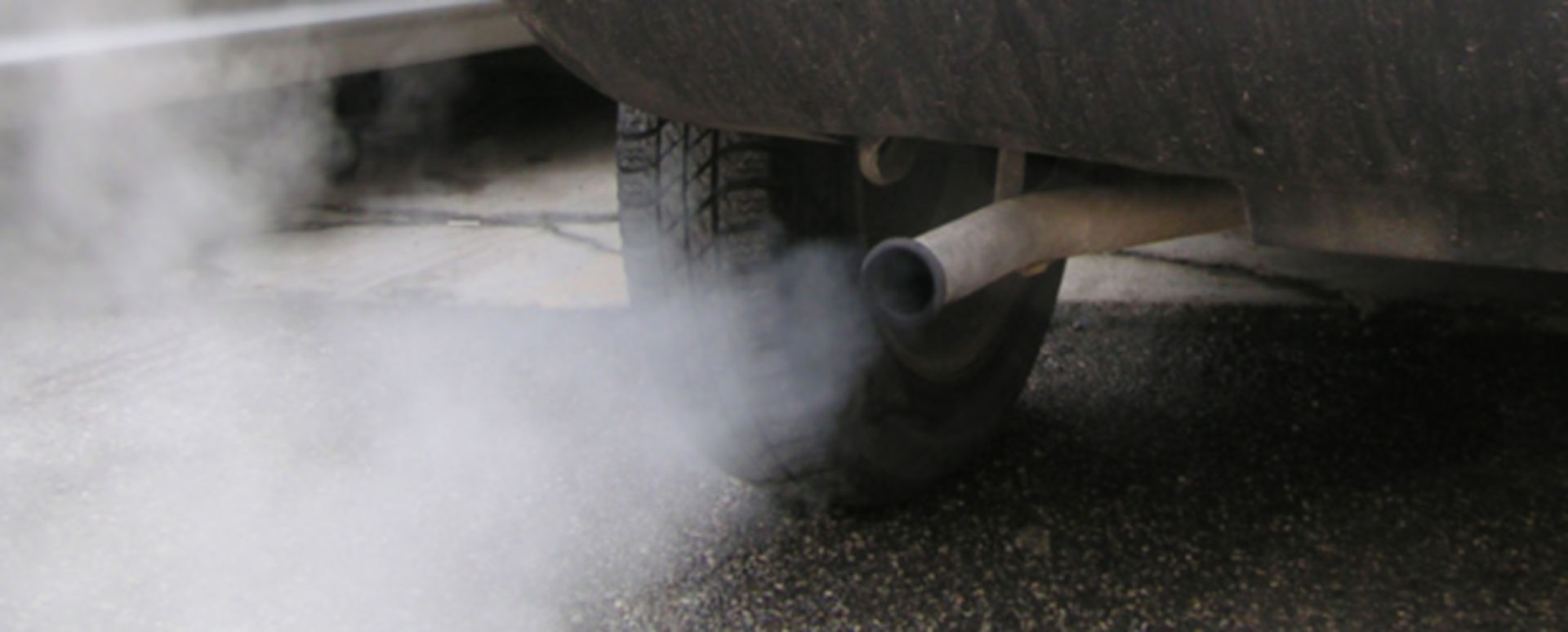 Abgase verschlimmern Allergie-Saison - DocCheck