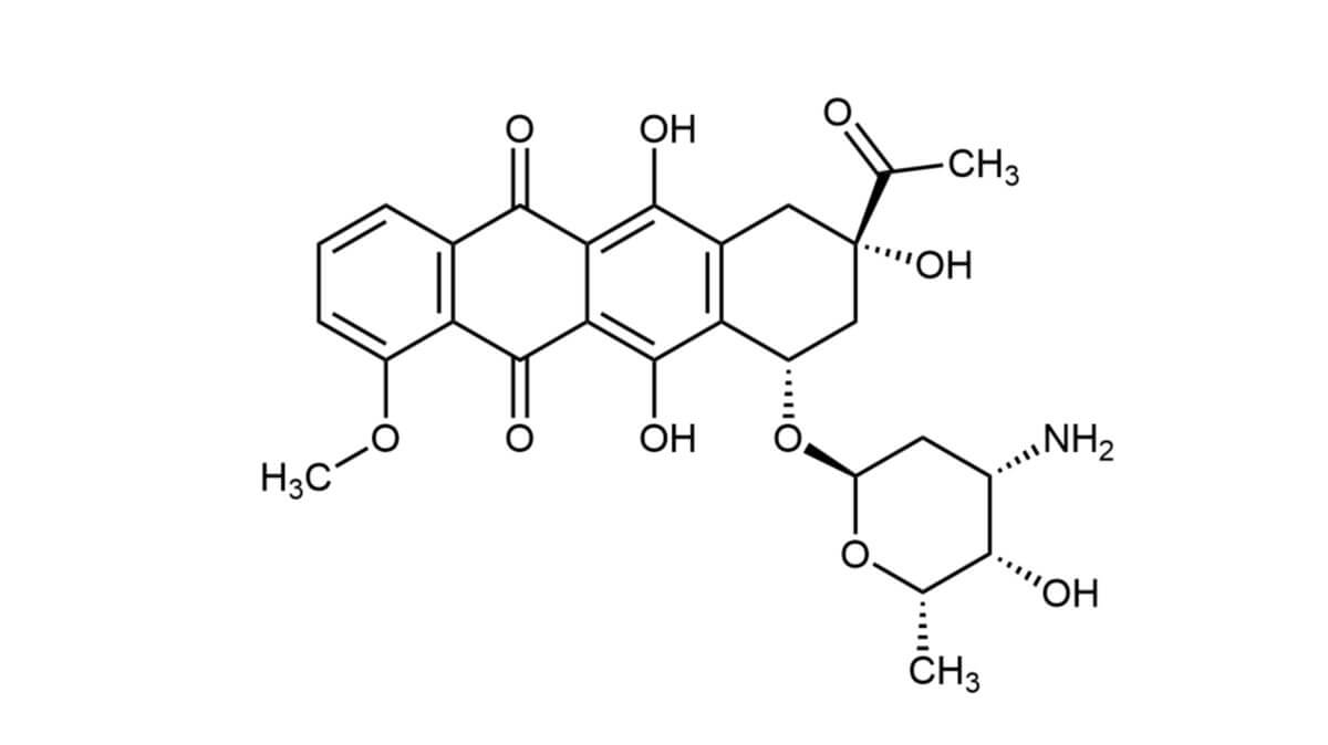 Anthracyclin