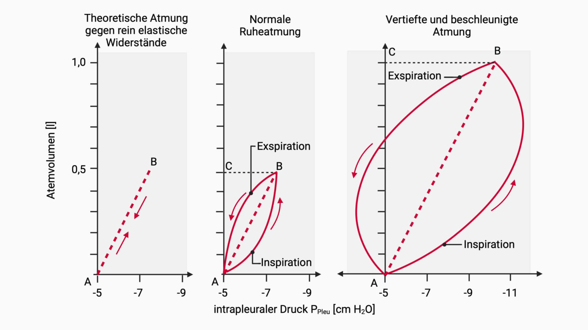 Atmungszyklus im Druck-Volumen-Diagramm