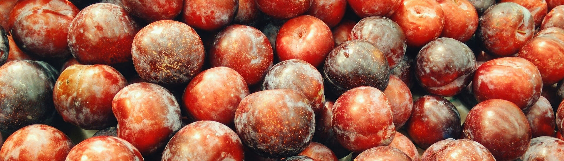 Klimakterium: Von Pflaumen und Pausen - DocCheck