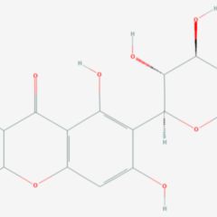 Chinon DocCheck Flexikon