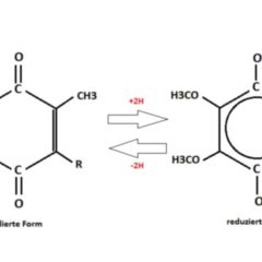 Ubichinon DocCheck Flexikon