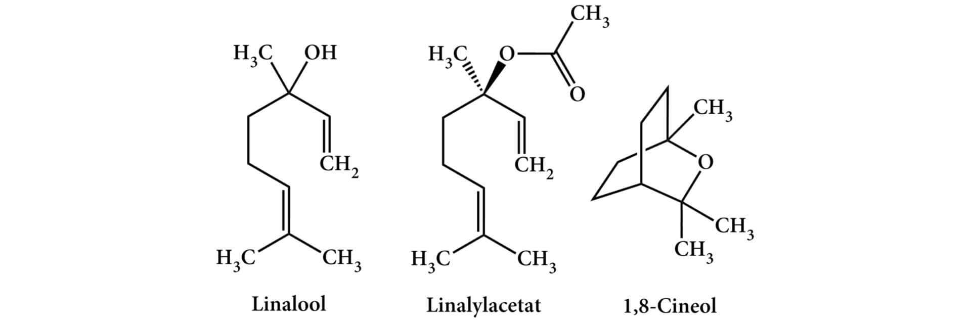 Wichtige Inhaltstoffe des Lavendelöls