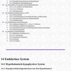 Endokrines System Doccheck Flexikon