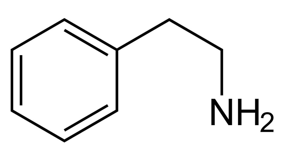 Phenethylamin