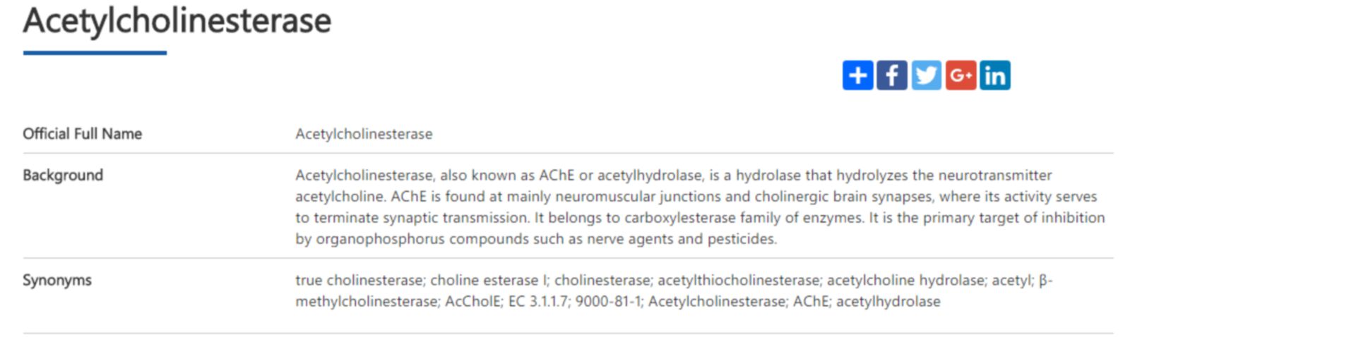 ache enzyme