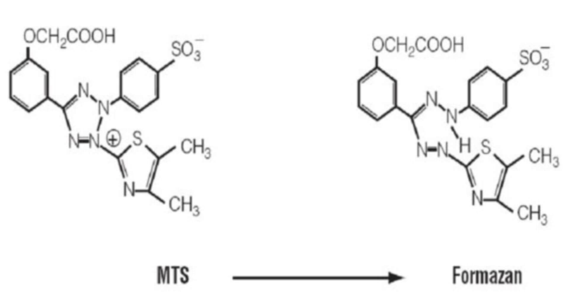 Structures of MTS tetrazolium salt and its formazan product (Anakok O F, et al., 2010).
